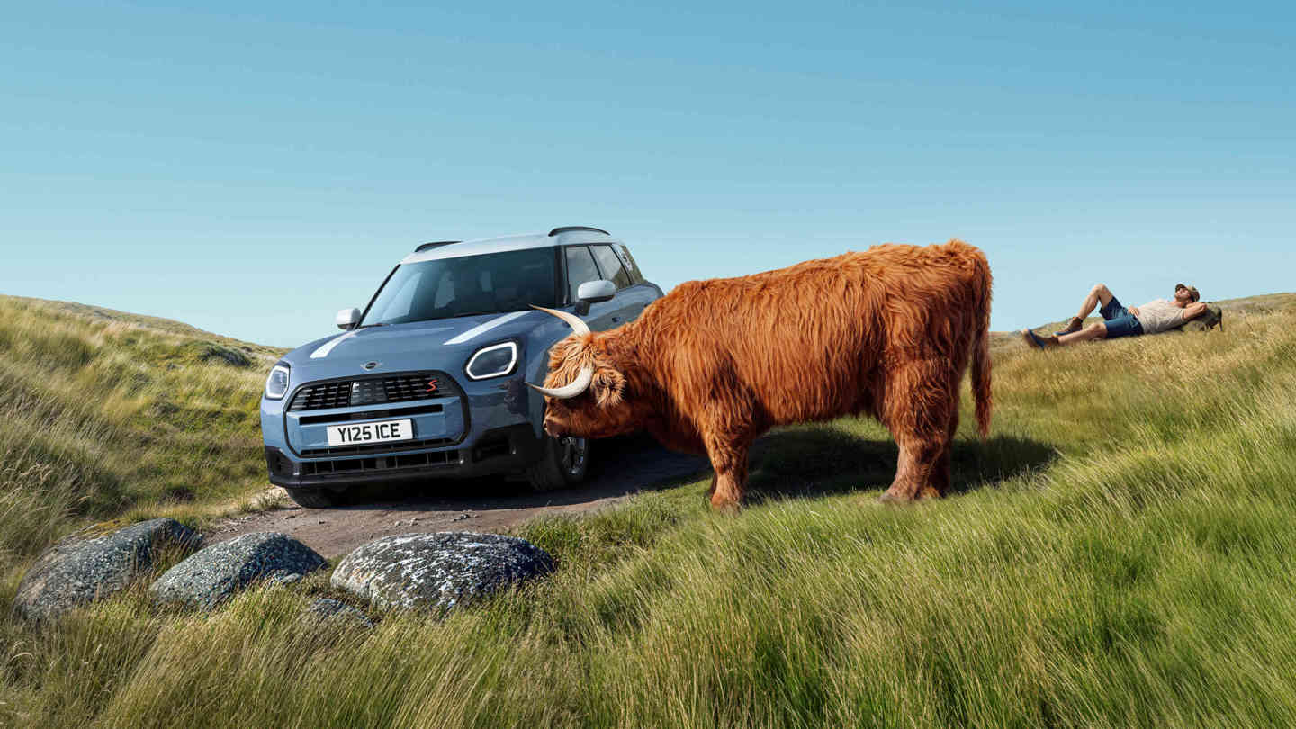 En shaggy ko snuser til fronten af en parkeret SUV på en grøn mark, mens en person slapper af i græsset under en klar himmel.