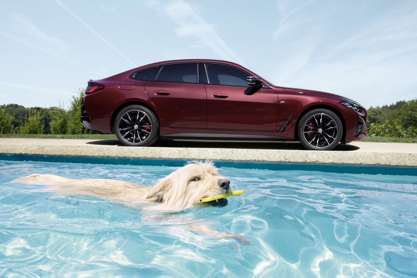 Ein langhaariger Hund schwimmt vergnügt in einem Pool mit einem Spielzeug im Maul. Hinter dem Pool parkt ein roter BMW 4er Gran Coupe auf der Straße unter einem strahlend blauen Himmel.