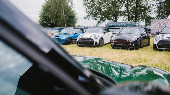 Mehrere Mini Coopers sind auf einer Wiese geparkt, im Hintergrund stehen Bäume und ein Bus; im Vordergrund ist ein Teil eines anderen Autos zu sehen.