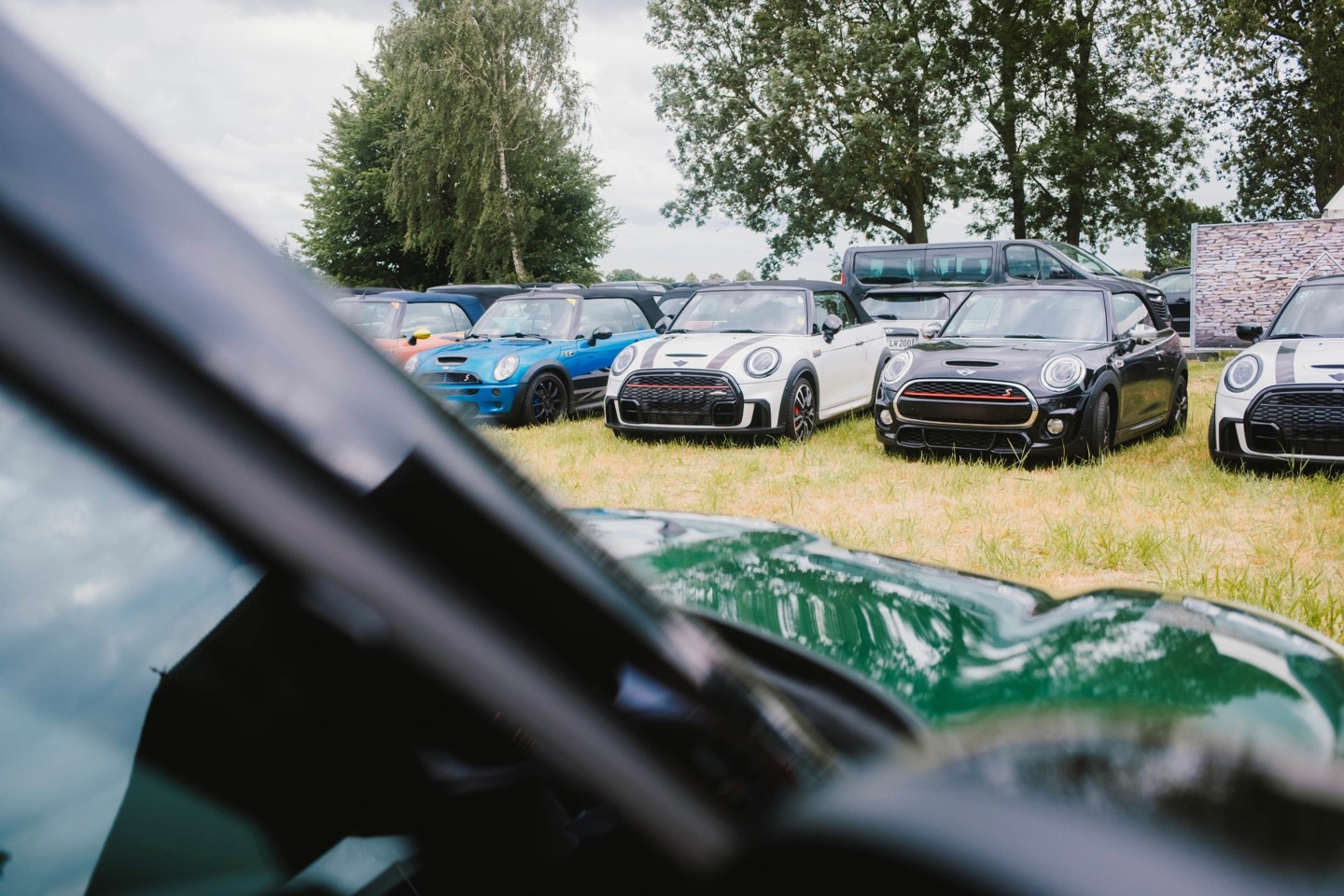 Mehrere Mini Coopers sind auf einer Wiese geparkt, im Hintergrund stehen Bäume und ein Bus; im Vordergrund ist ein Teil eines anderen Autos zu sehen.